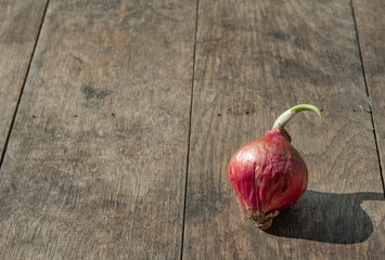 Shallots are placed on brown wooden table background.