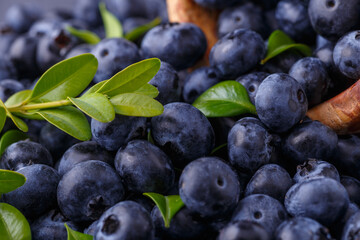 Fresh blueberry background. Blueberry Texture Close Blueberry Antioxidant Organic Superpeed Bowl Concept Healthy Nutrition