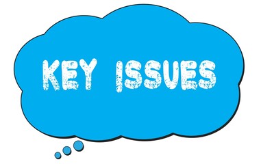 KEY  ISSUES text written on a blue thought bubble.