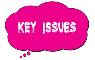 KEY  ISSUES text written on a pink thought bubble.