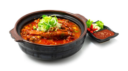 Spicy Chicken Feet Stew Soup in Pot Dakbal Korean Food