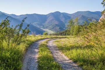 Fototapeta na wymiar Mountain country road in summer morning