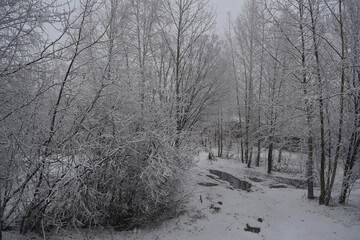Snowfall in winter. Trees, bushes and road are covered by fresh snow.