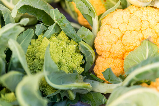 Different kinds of vegetables in a street market in Union Square, Manhattan, New York City, NY, USA.