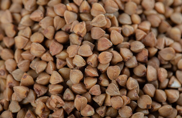 Buckwheat grain. The texture of dry buckwheat. Close-up of brown buckwheat