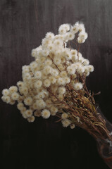 fluffy dried flowers