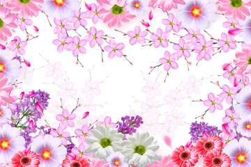 Natural background of bright colorful flowers.
