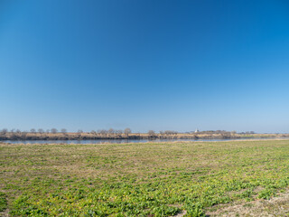 Fototapeta na wymiar 早春の茨城県境町の利根川河川敷の風景