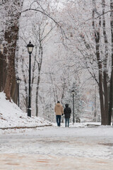 Winter park covered with snow and hoarfrost