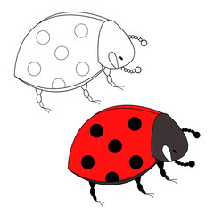 Coloring book for children. Ladybugs cartoon