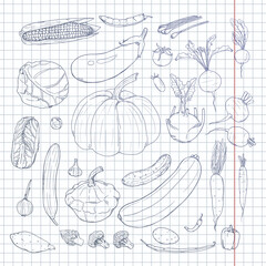 Vector Set of Hand Drawn Sketch Vegetables