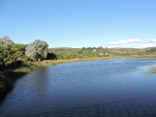 landscape with lake