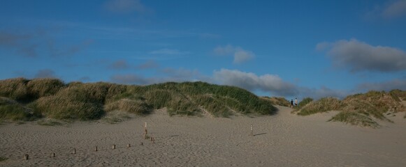 sand dunes with beach grass, banner