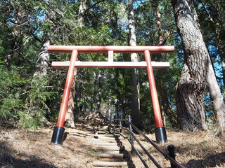 鳥居と山へと続く階段