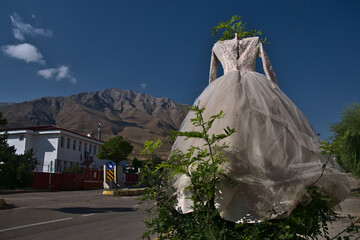 Absurd Wedding Dress.