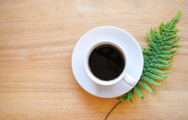 Flat lay of dark americano hot coffee in white coffee cup with green fern leaves on wood desk background, minimal style concept. 