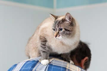  devoted cat sitting on a man's back