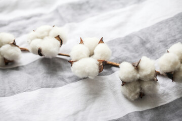 Cotton flowers