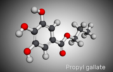 Propyl gallate, N-Propyl gallate molecule. It is antioxidant, food additive, E310. Molecular model. 3D rendering