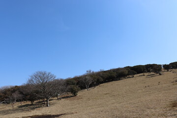 Fototapeta premium 入道ヶ岳の山道の景色
