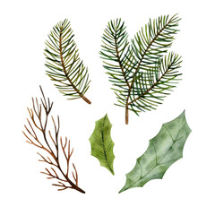 Clipart of evergreen spruce branches of different sizes,dark brown spruce branches without leaves and needles,mistletoe leaves of different color and size for design and complement patterns and decor.