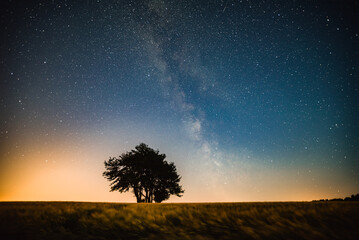 Milkyway and tree