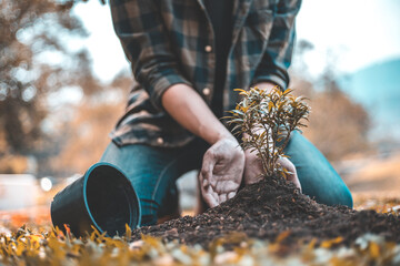 Young man was giving mineral fertilizers to the seedlings he cared for and protected, Preserving or loving the environment or maintaining the soil, Save world save life concept...