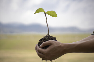 Young man was holding a seedling to prepare to plant a tree, Preserving or loving the environment...