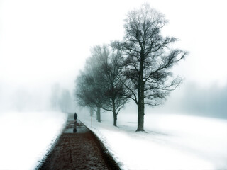 In the misty morning. It's dark and grey outside. The young girl is walking and wonder over the great nature. Moody and dramatic scenery. 