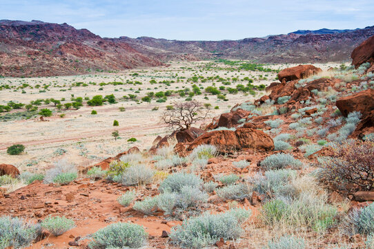 Twyfelfontein, UNESCO World Heritage Site, Damaraland, Kunene Region, Namibia, Africa