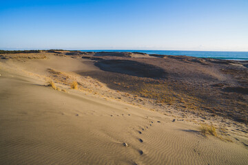 晴れた日の中田島砂丘