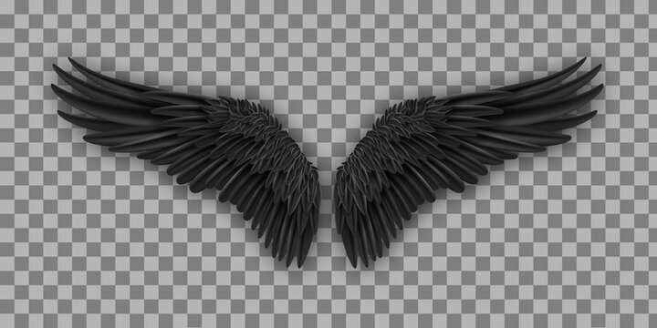 Vector pair of black realistic wings. Black isolated pair of falcon wings, 3D bird wings design template