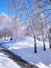 winter in the park