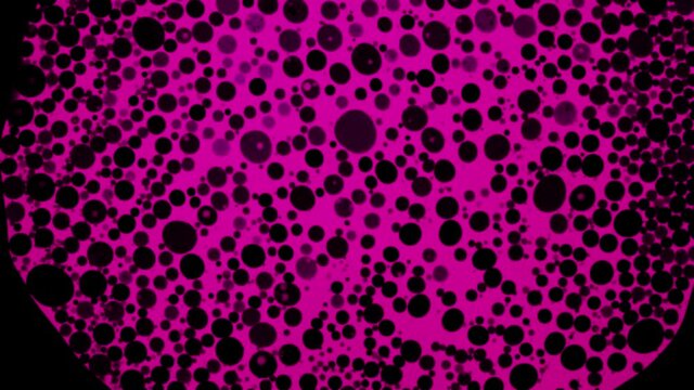 Fantastic structure of pink bubbles. Scientific experiment, chemical reactions. Chaotic motion, bubble flow expansion, curlicue of paints. Psychedelic liquid light show, ink patterns in water + oil.