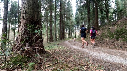 Fototapeta premium young couple trail running in the mountains