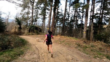 Obraz premium young woman trail running in the mountains