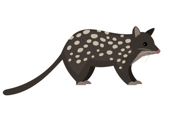 Cute wild rodent. Cartoon fluffy exotic animal, funny tasmanian quoll, vector illustration of night predator with spots isolated on white background