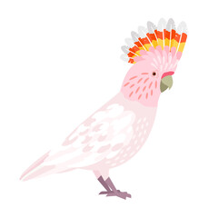 Beautiful cockatoo. Cartoon jungle parakeet with beak and feathers, tropical winged bird, vector illustration of exotic sky character with plumage isolated on white background © ssstocker