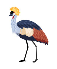 Bird with long legs. Cartoon colored exotic character of nature with beak and feathers, vector illustration of crested crane isolated on white background