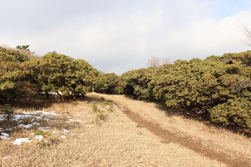 Fototapeta premium 入道ヶ岳の山道の景色