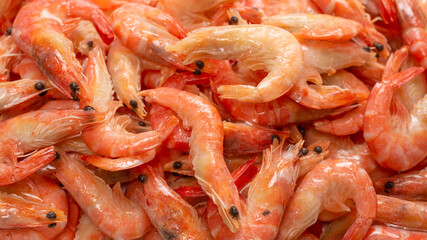 Fresh shrimps in ice. Top view.