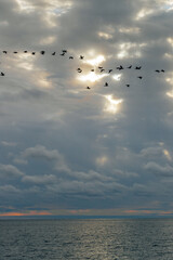 Calm sea and blue sky with white cirrus clouds. The sun shines through the clouds.