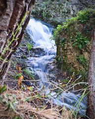 A small beautiful waterfall in a forest with blue water and trees.