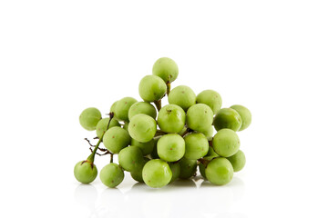 Solanum torvum ,Turkey berry on white