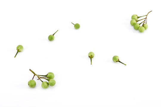 Solanum Torvum ,Turkey Berry On White