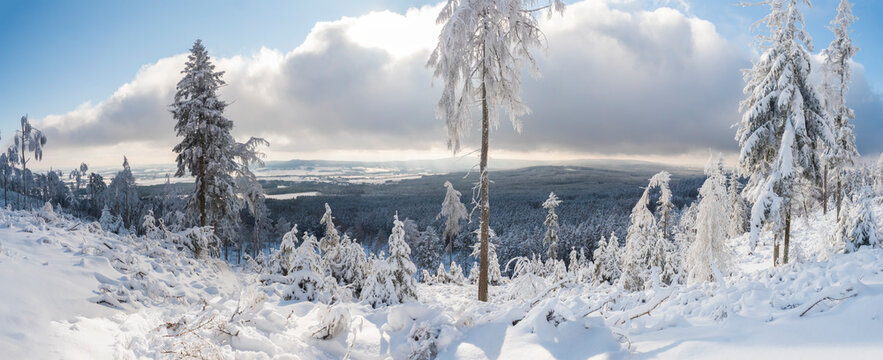 Panoramic winter landscape, view of Cakova vyhlidka viewpoint at fields, forest, villages and snowy spruce tree with snow covered branches. Brdy Mountains, Hills in central Czech Republic, sunny day