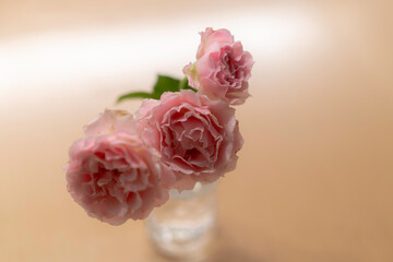 ピンクの薔薇_花瓶_テーブル