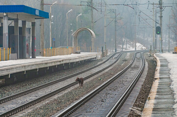 Empty railway station in early spring