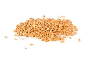 Heap of wheat grains on white background