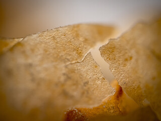 Sweet spanish Pastry